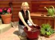 How To Plant A Potted Herb Garden